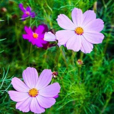 AG直装官方下载